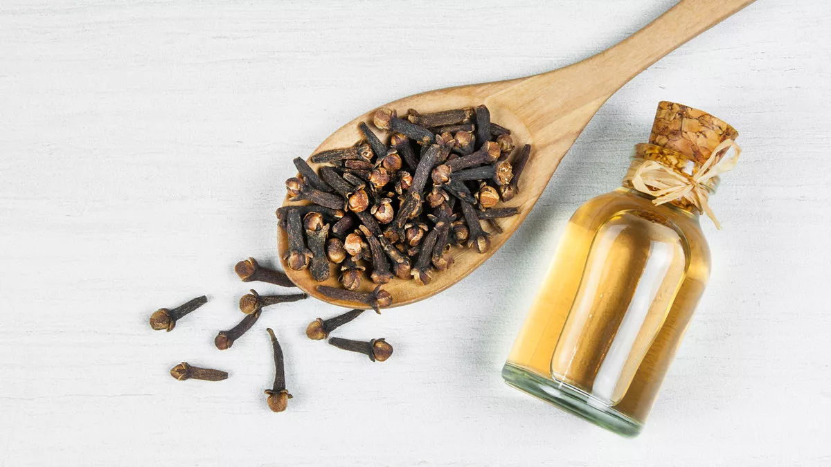 Cara Herbal Mengobati - minyak cengkeh