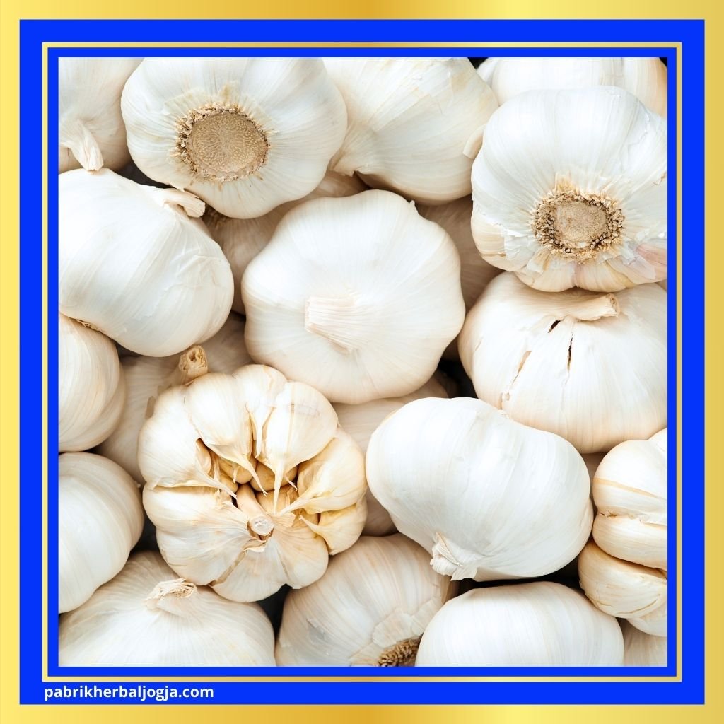 Cara Mengobati Kolesterol dengan Herbal