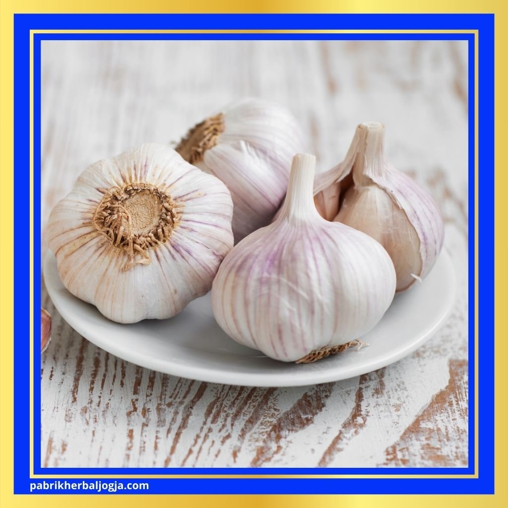 Cara mengobati tipes secara herbal 