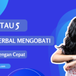 pabrik herbal jogja