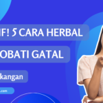 pabrik herbal jogja