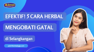 pabrik herbal jogja