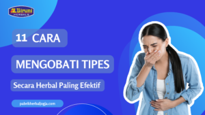 pabrik herbal jogja