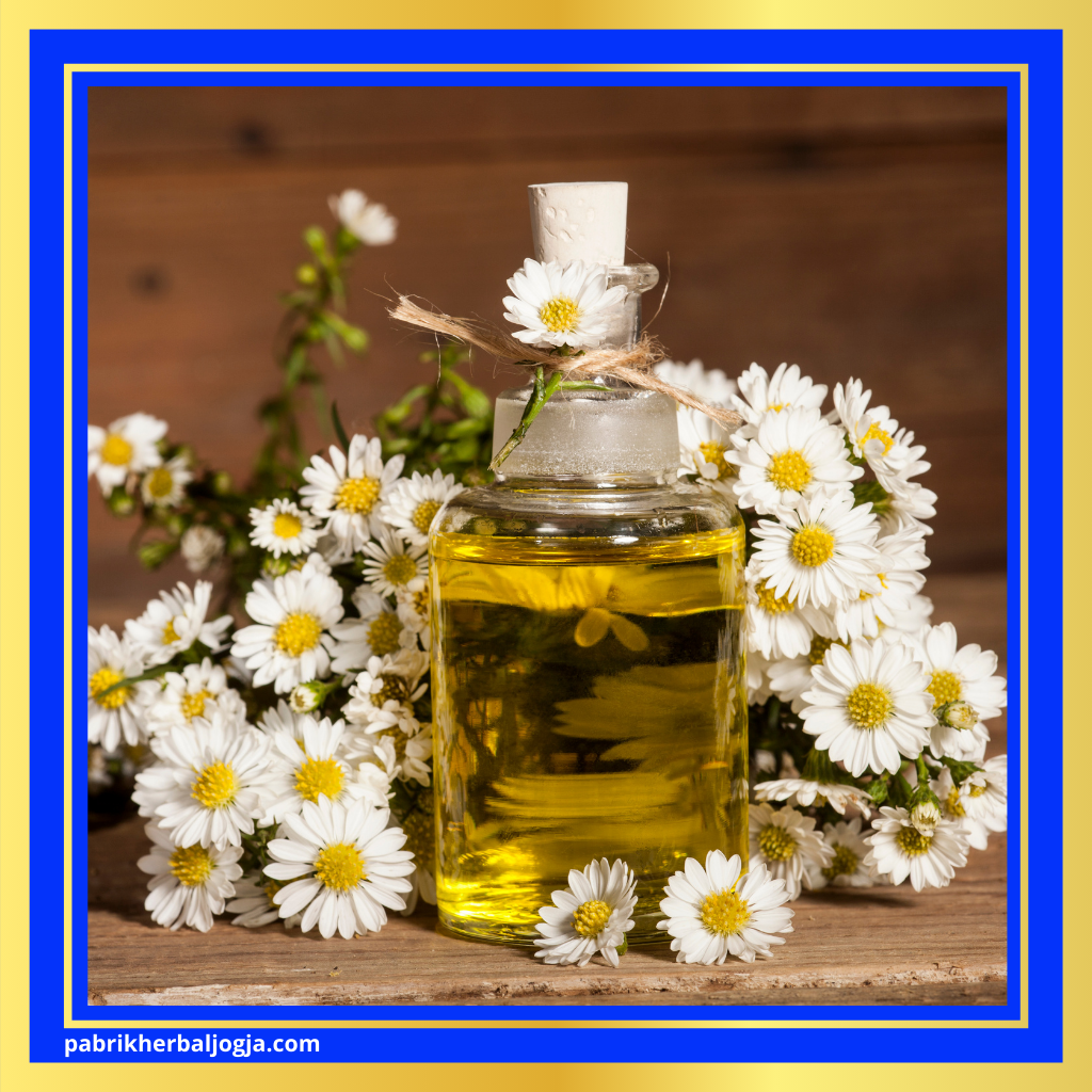 Herbal Alami Mengatasi Asam Lambung