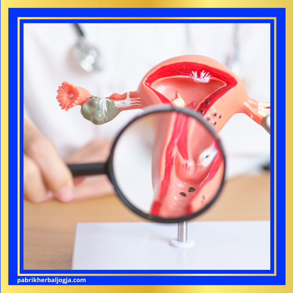 Herbal Alami untuk Mendukung Kesuburan