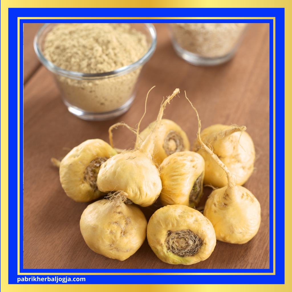 Herbal Alami untuk Mendukung Kesuburan