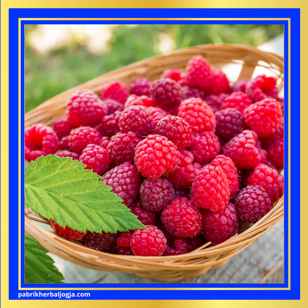 Herbal Alami untuk Mendukung Kesuburan