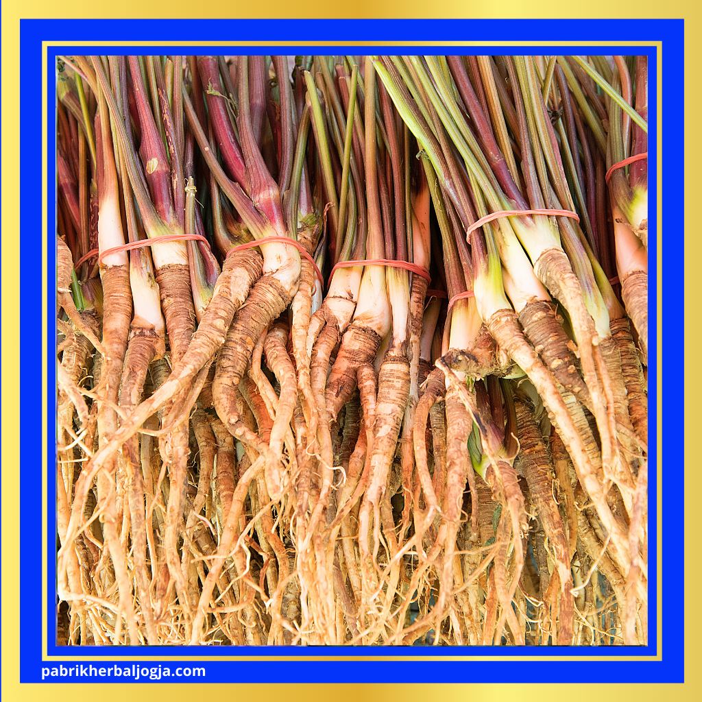 Herbal Alami untuk Mendukung Kesuburan