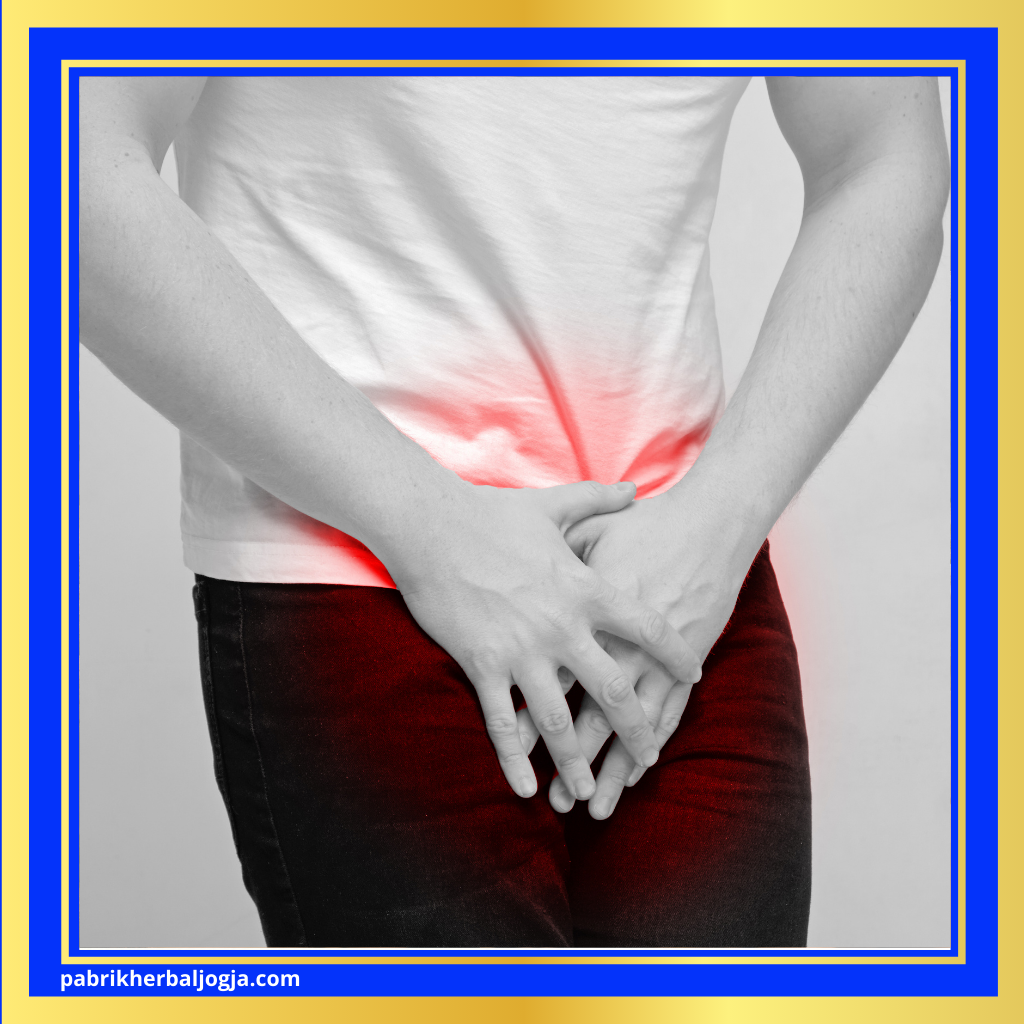 Herbal Mengatasi Gangguan Prostat