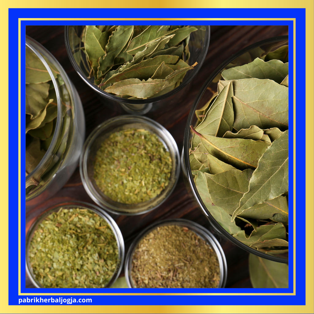 Ramuan Alami untuk Mengobati Asam Urat