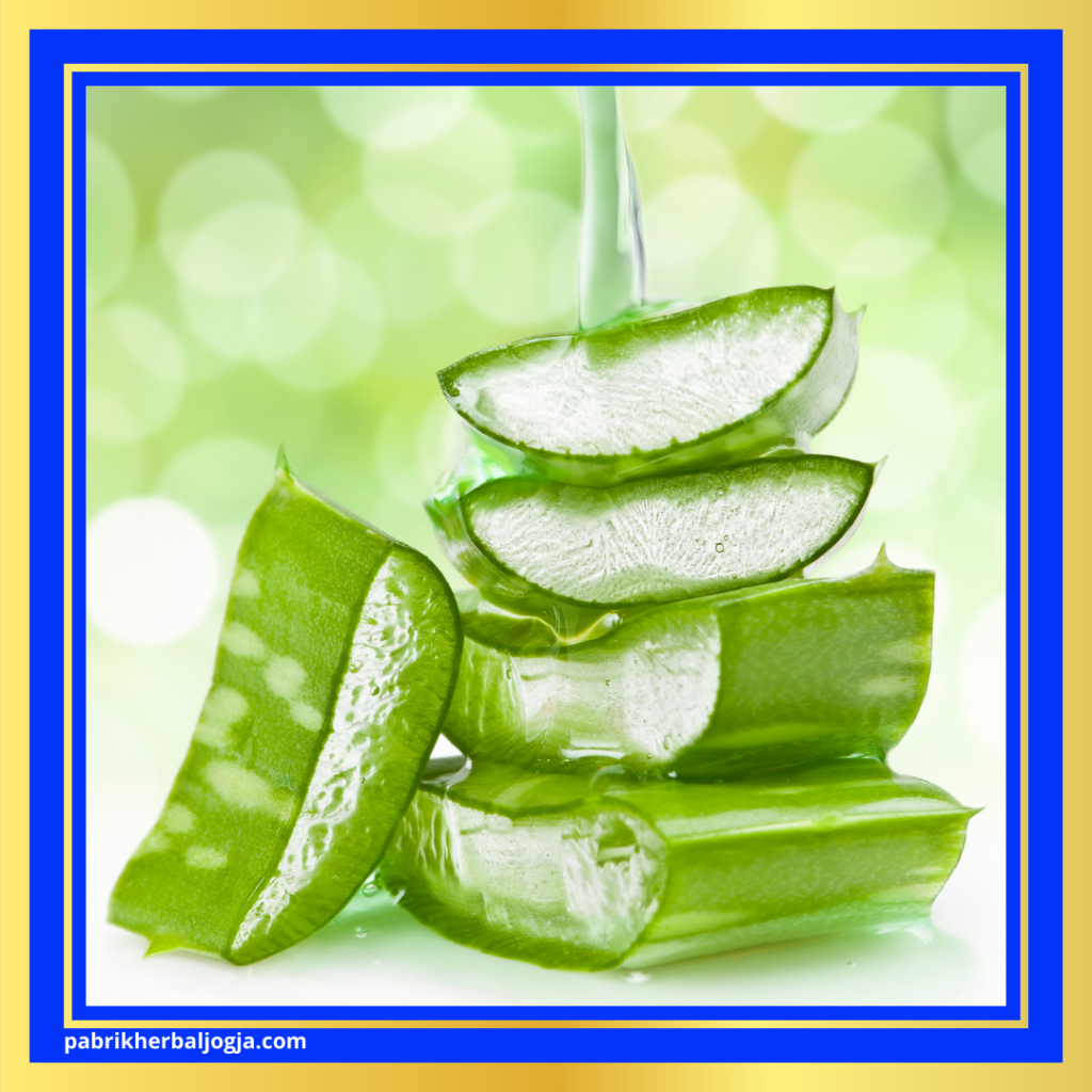 Herbal Alami untuk Penyakit Autoimun