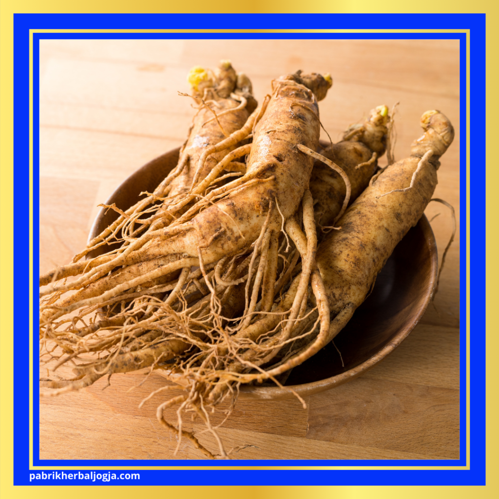 Herbal Alami untuk Penyakit Autoimun