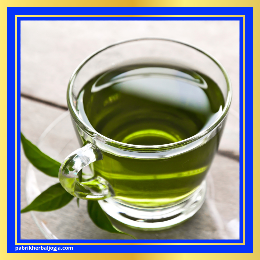 Herbal Membantu Program Diet
