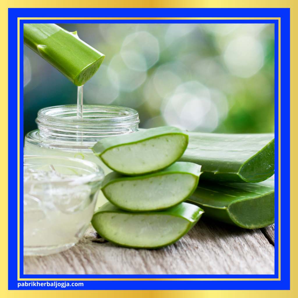 Herbal Membantu Program Diet