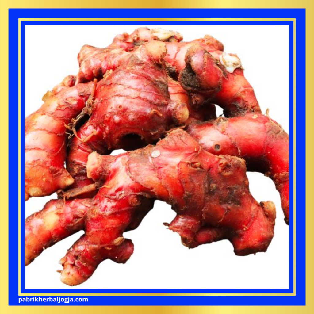 Manfaat Jahe Merah