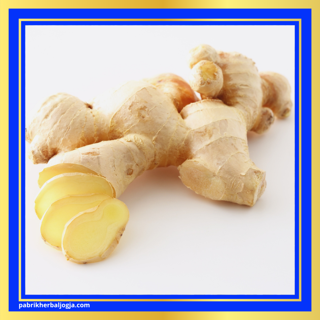 Obat Herbal Asam Urat