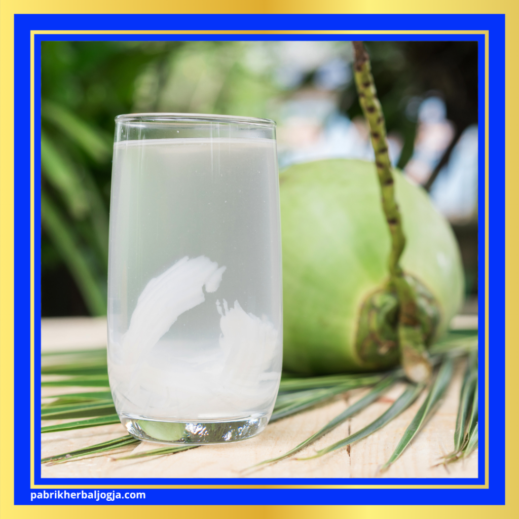 Obat Herbal Asam Urat