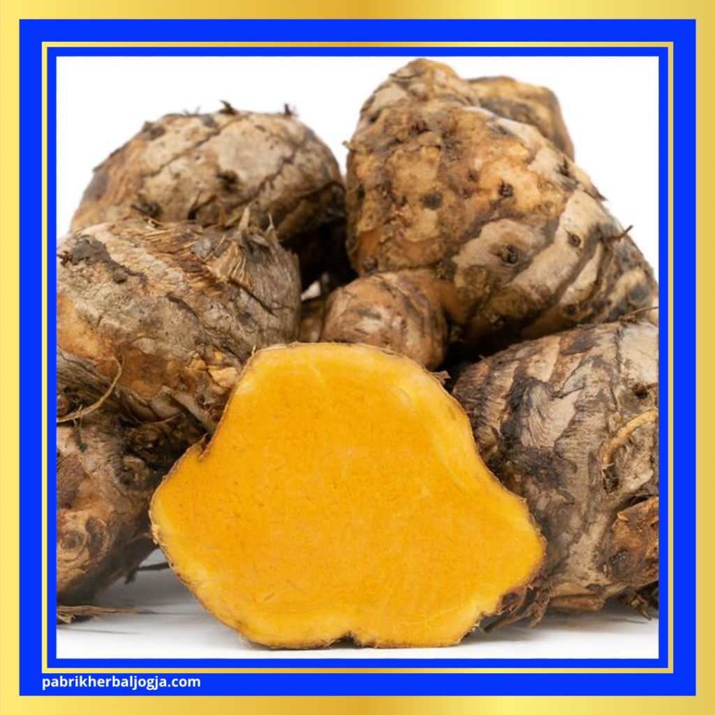 Obat Herbal Asam Urat