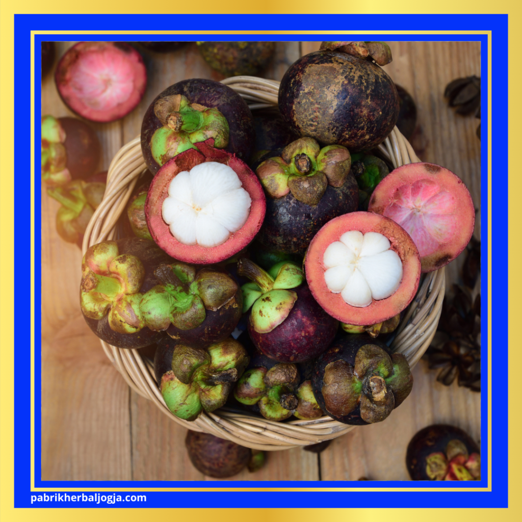 Manfaat Herbal Kulit Manggis