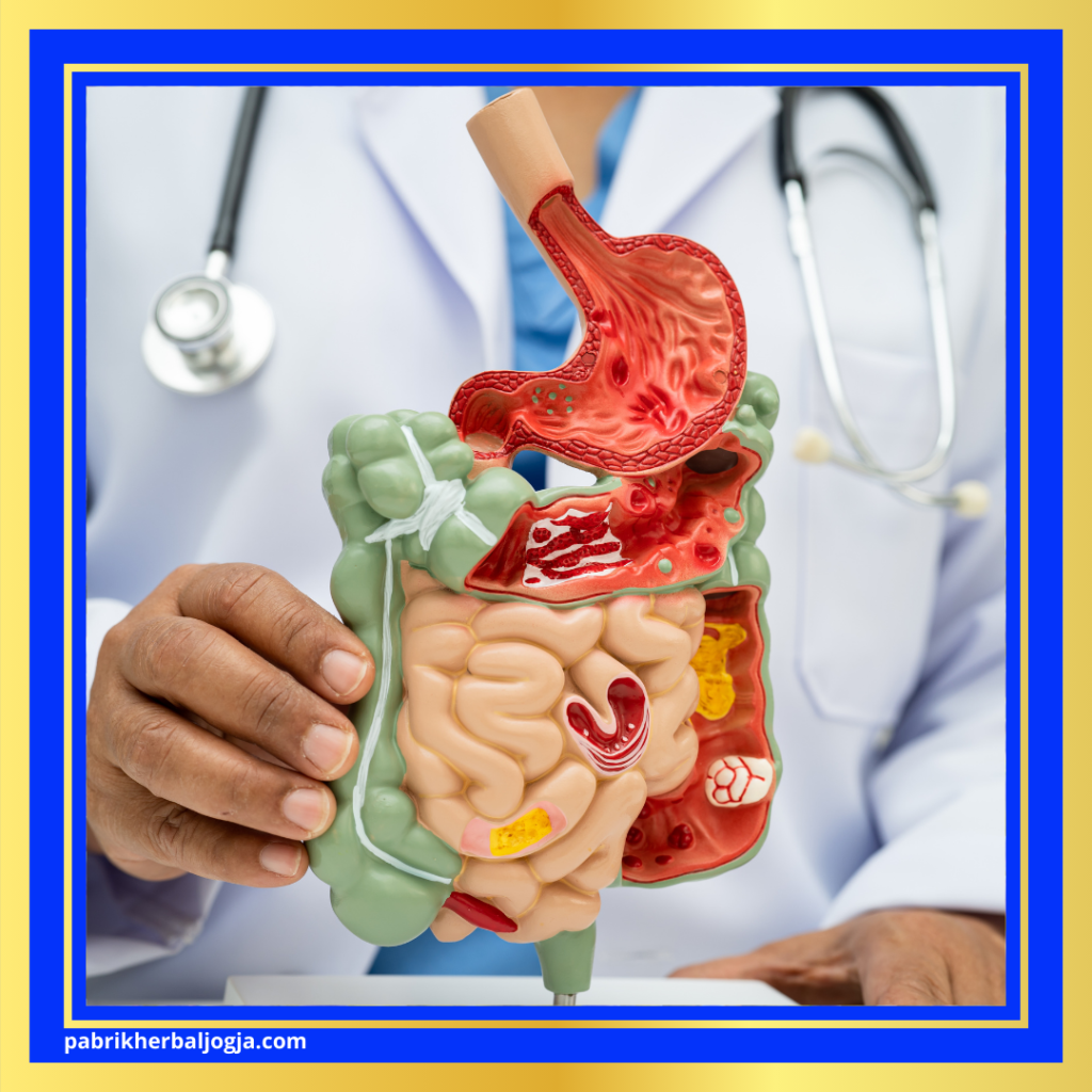 Manfaat Herbal Kulit Manggis