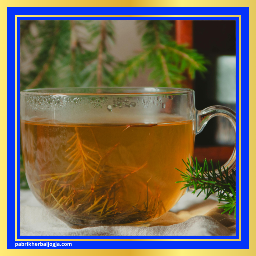 Ramuan Herbal untuk Batuk