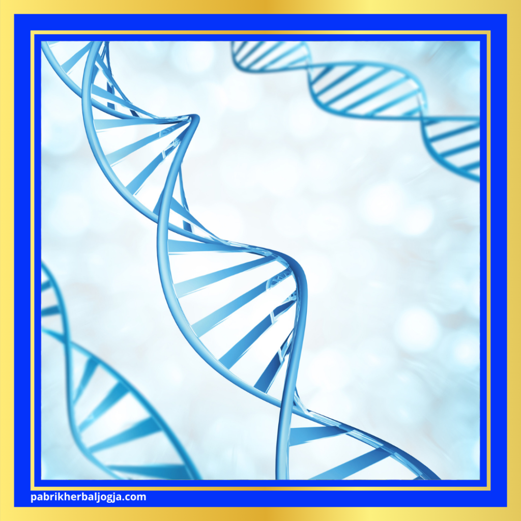 Penyebab Batu Ginjal