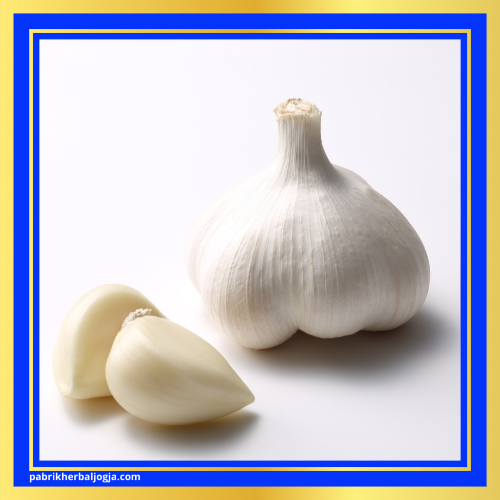 Herbal Kolesterol Tinggi