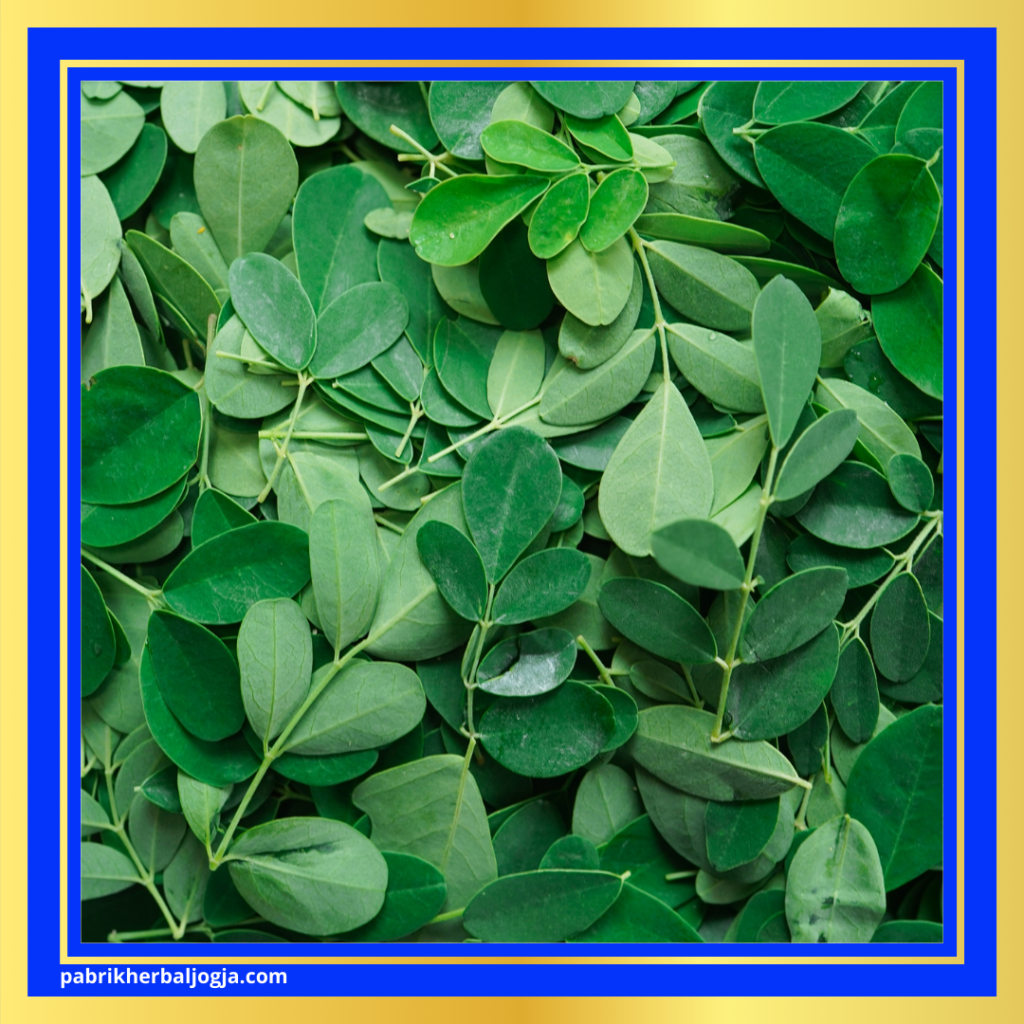 Herbal Kolesterol Tinggi