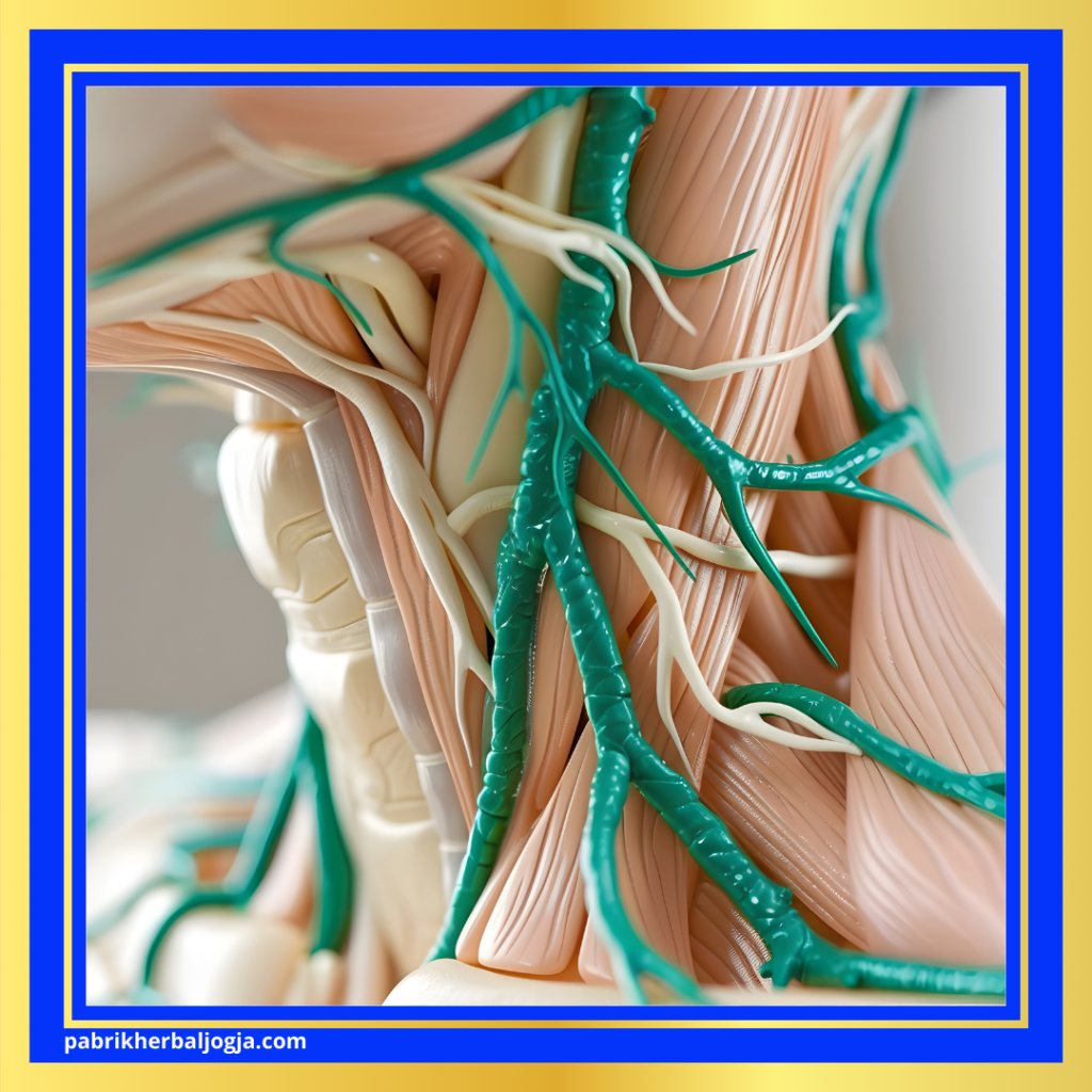 Penyakit Getah Bening