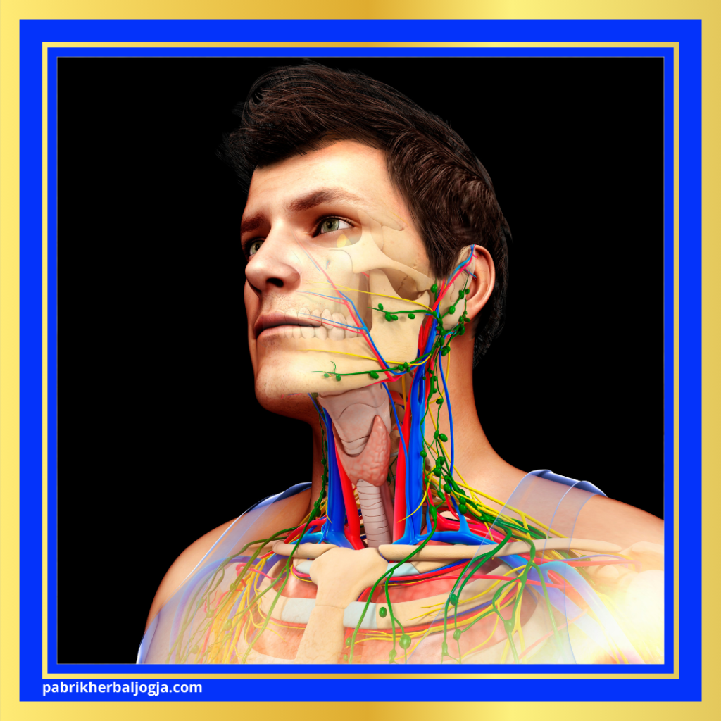 Penyakit Getah Bening