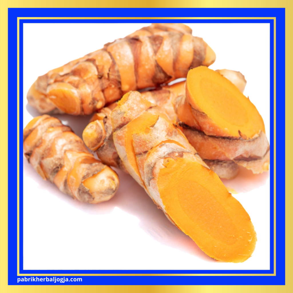 Jenis Herbal Anti Inflamasi