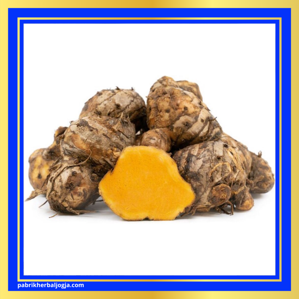 Jenis Herbal Anti Inflamasi