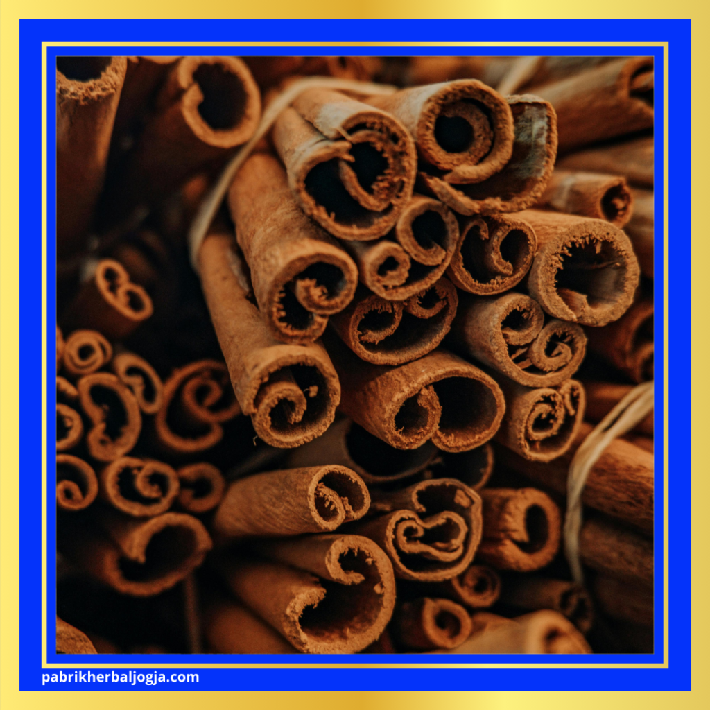 Jenis Herbal Anti Inflamasi